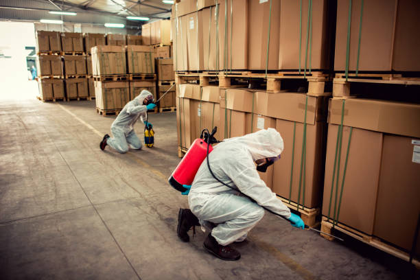 Best Pest Removal Services  in Cut Bank, MT