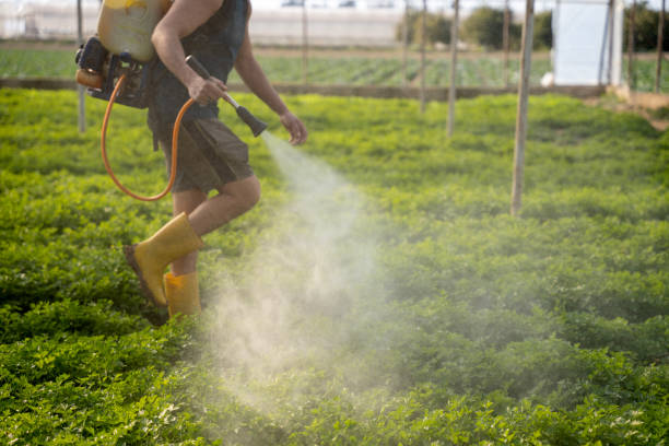 Best Best Pest Control Near Me  in Cut Bank, MT