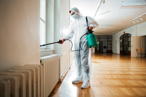 Best Pest Prevention Services  in Cut Bank, MT